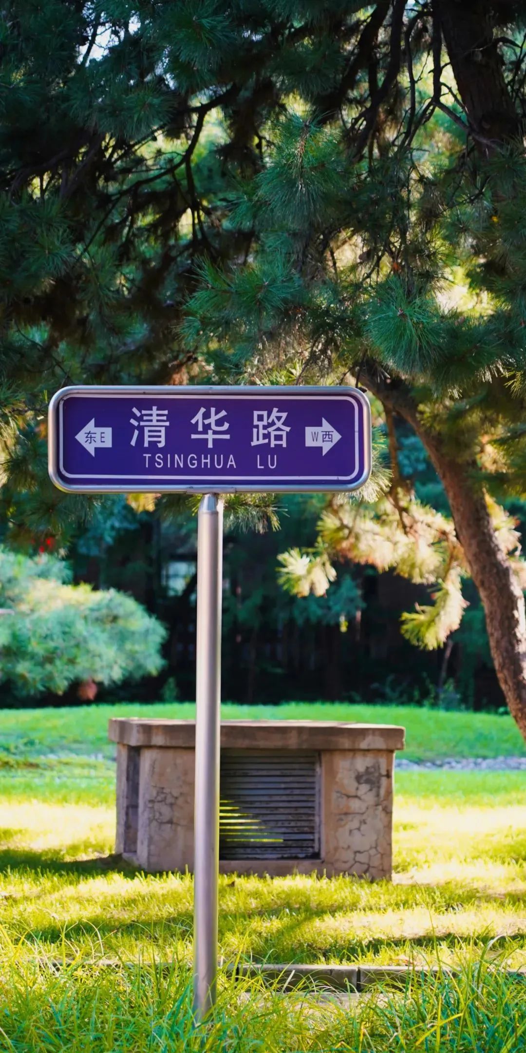 微信图片_20240718165056.jpg
