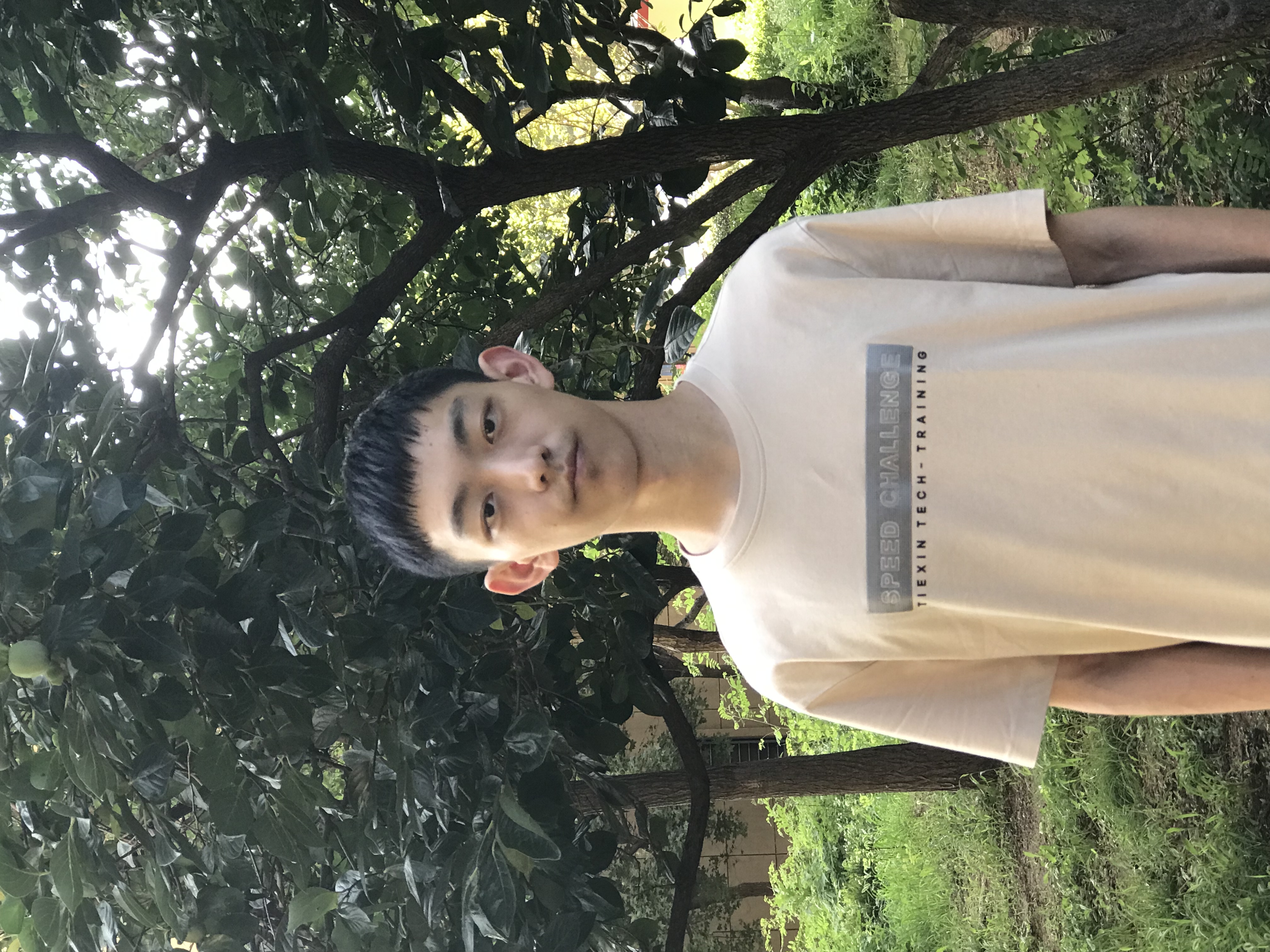 郭嘉